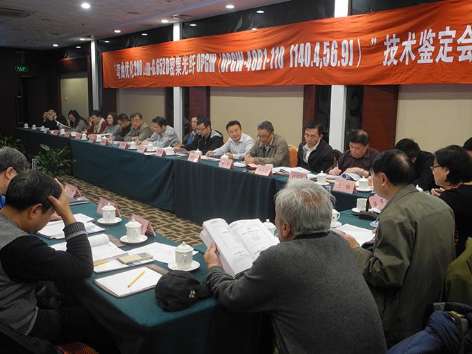 PG����(����)����IOS/��׿��/�ֻ���APP����