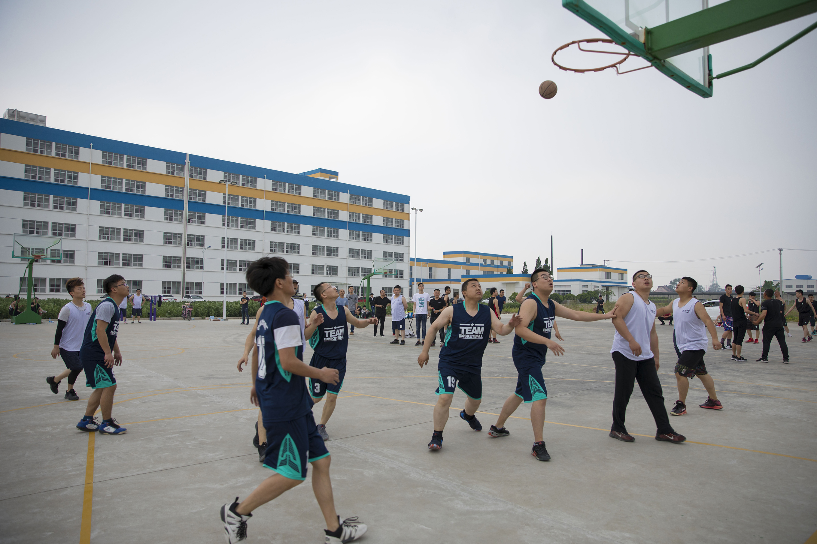 PG����(����)����IOS/��׿��/�ֻ���APP����