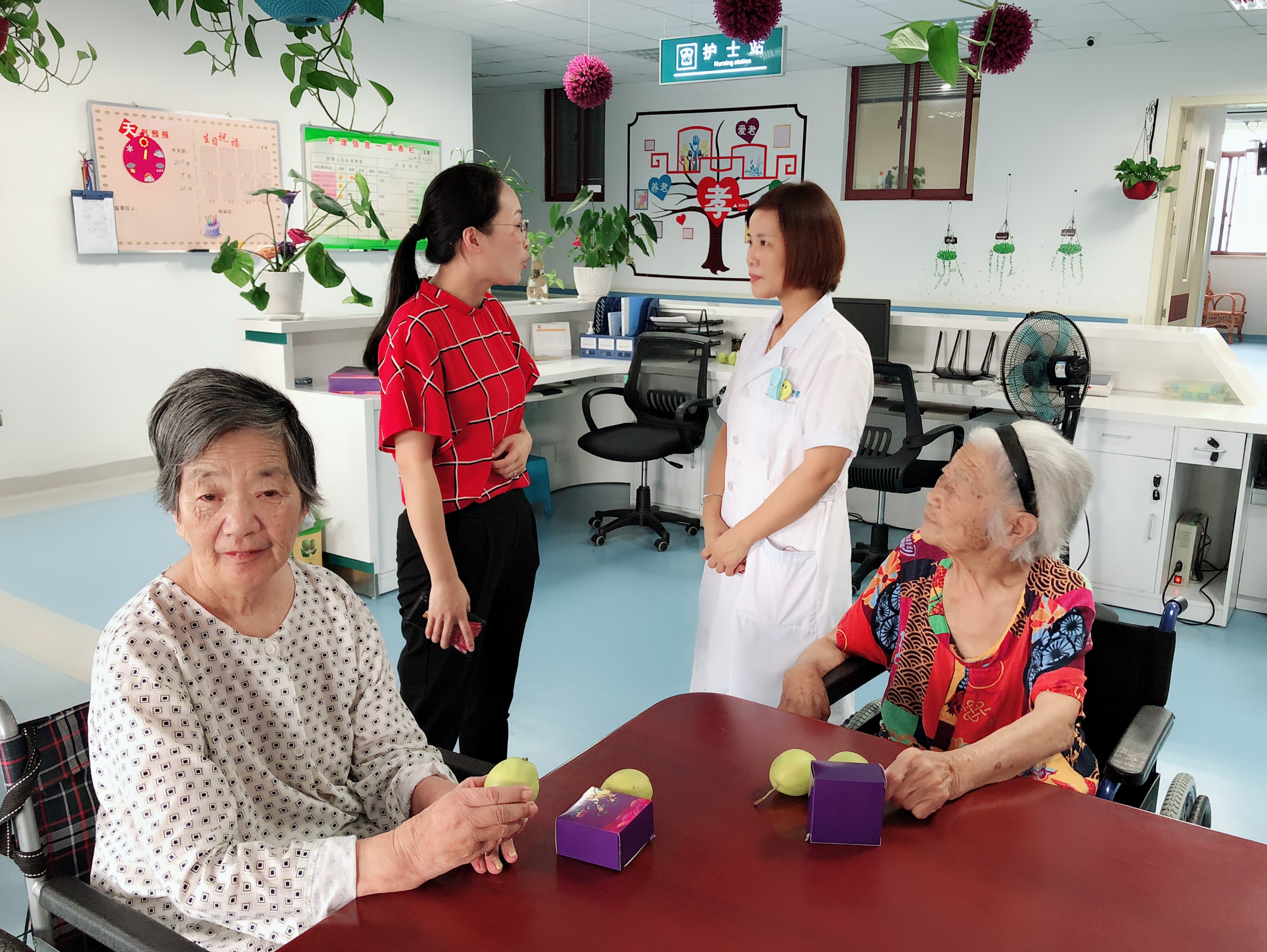 PG����(����)����IOS/��׿��/�ֻ���APP����