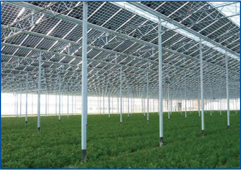 PG����(����)����IOS/��׿��/�ֻ���APP����