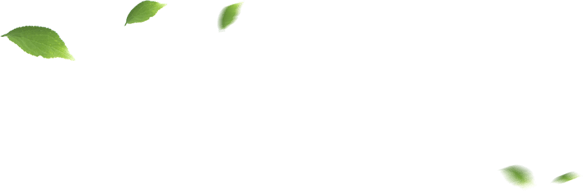 PG����(����)����IOS/��׿��/�ֻ���APP����