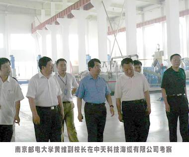 PG����(����)����IOS/��׿��/�ֻ���APP����