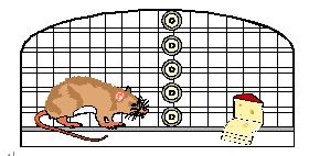 PG����(����)����IOS/��׿��/�ֻ���APP����