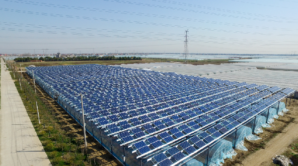 PG����(����)����IOS/��׿��/�ֻ���APP����