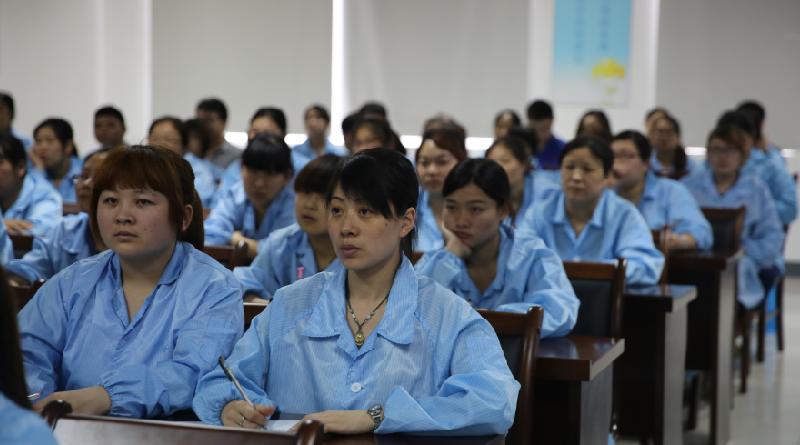 PG����(����)����IOS/��׿��/�ֻ���APP����