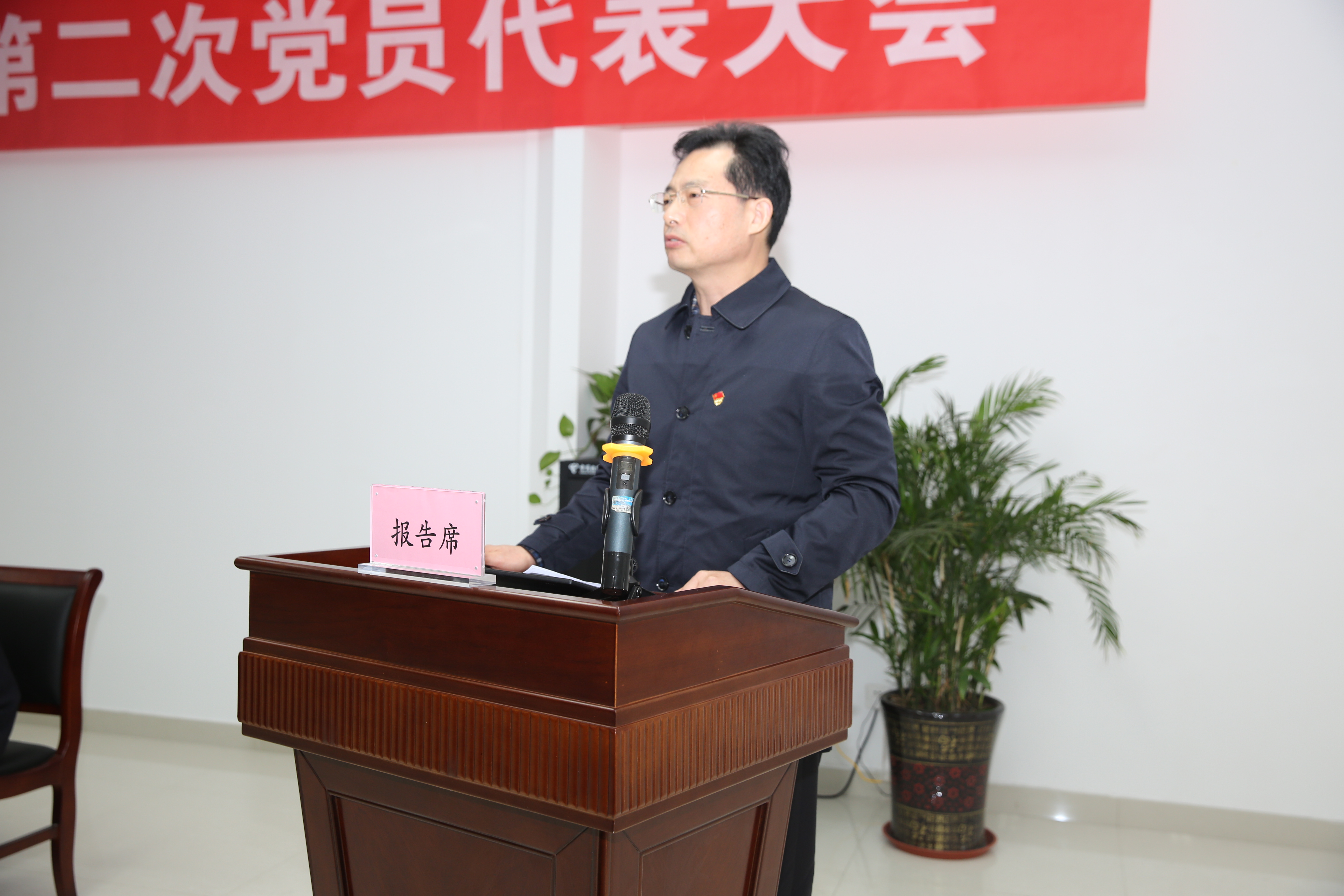 PG����(����)����IOS/��׿��/�ֻ���APP����