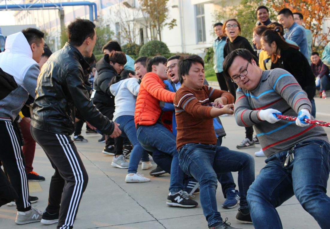 PG����(����)����IOS/��׿��/�ֻ���APP����