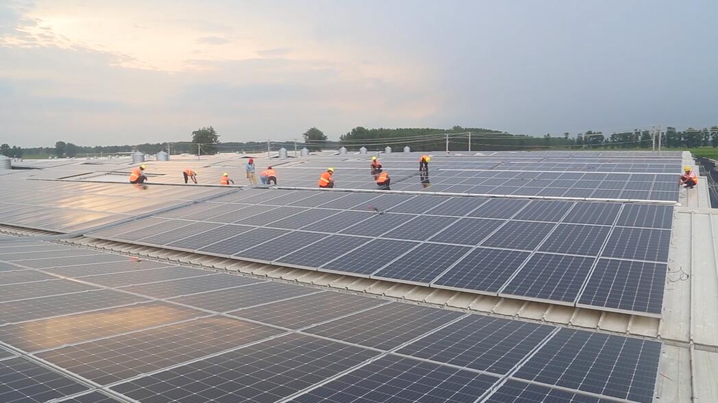 PG����(����)����IOS/��׿��/�ֻ���APP����