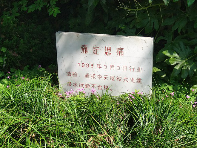 PG����(����)����IOS/��׿��/�ֻ���APP����