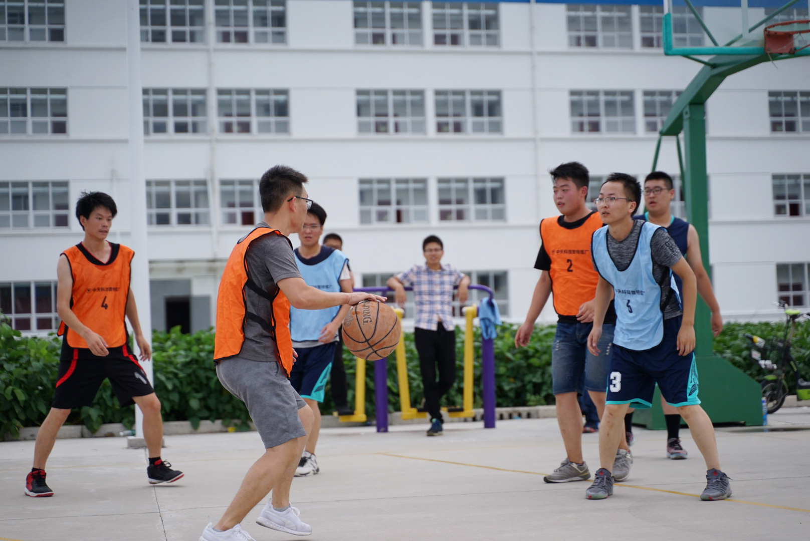 PG����(����)����IOS/��׿��/�ֻ���APP����