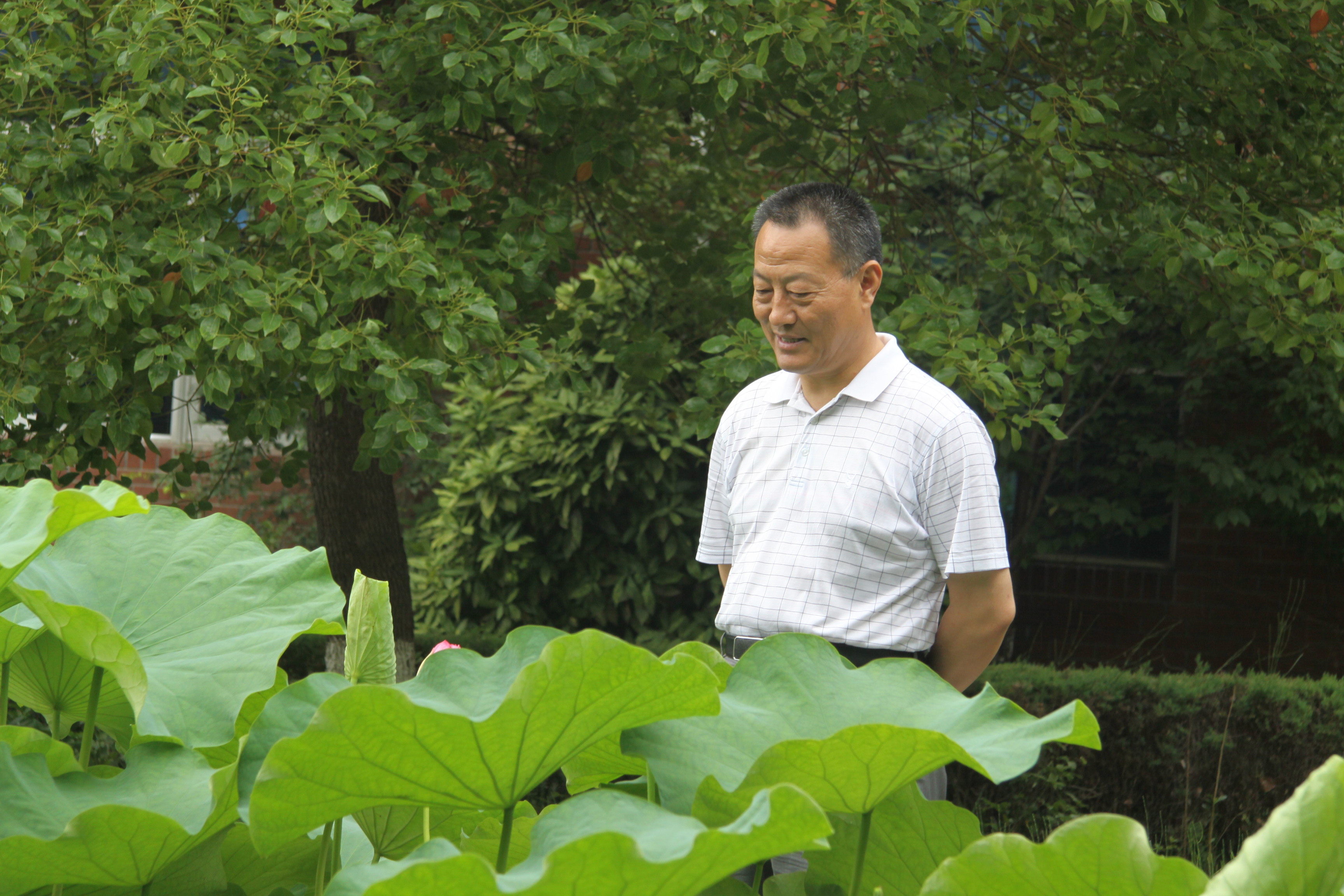 PG����(����)����IOS/��׿��/�ֻ���APP����