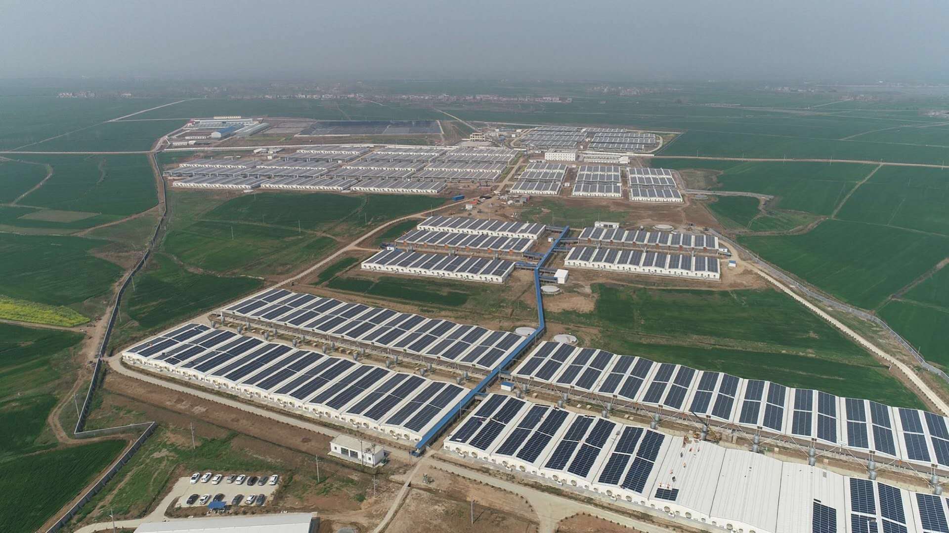 PG����(����)����IOS/��׿��/�ֻ���APP����