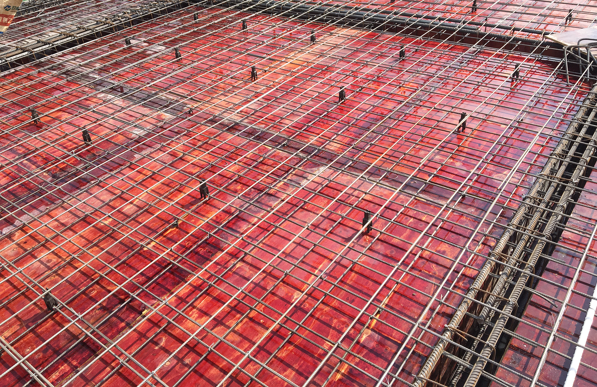 PG����(����)����IOS/��׿��/�ֻ���APP����