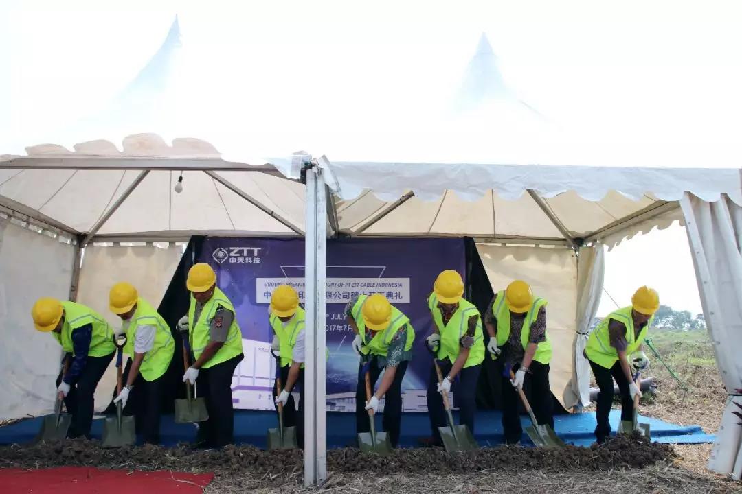 PG����(����)����IOS/��׿��/�ֻ���APP����