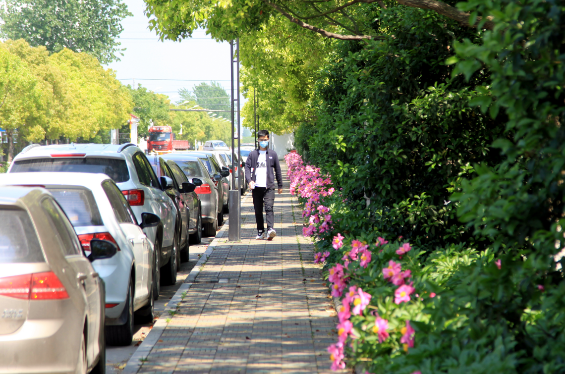 PG����(����)����IOS/��׿��/�ֻ���APP����