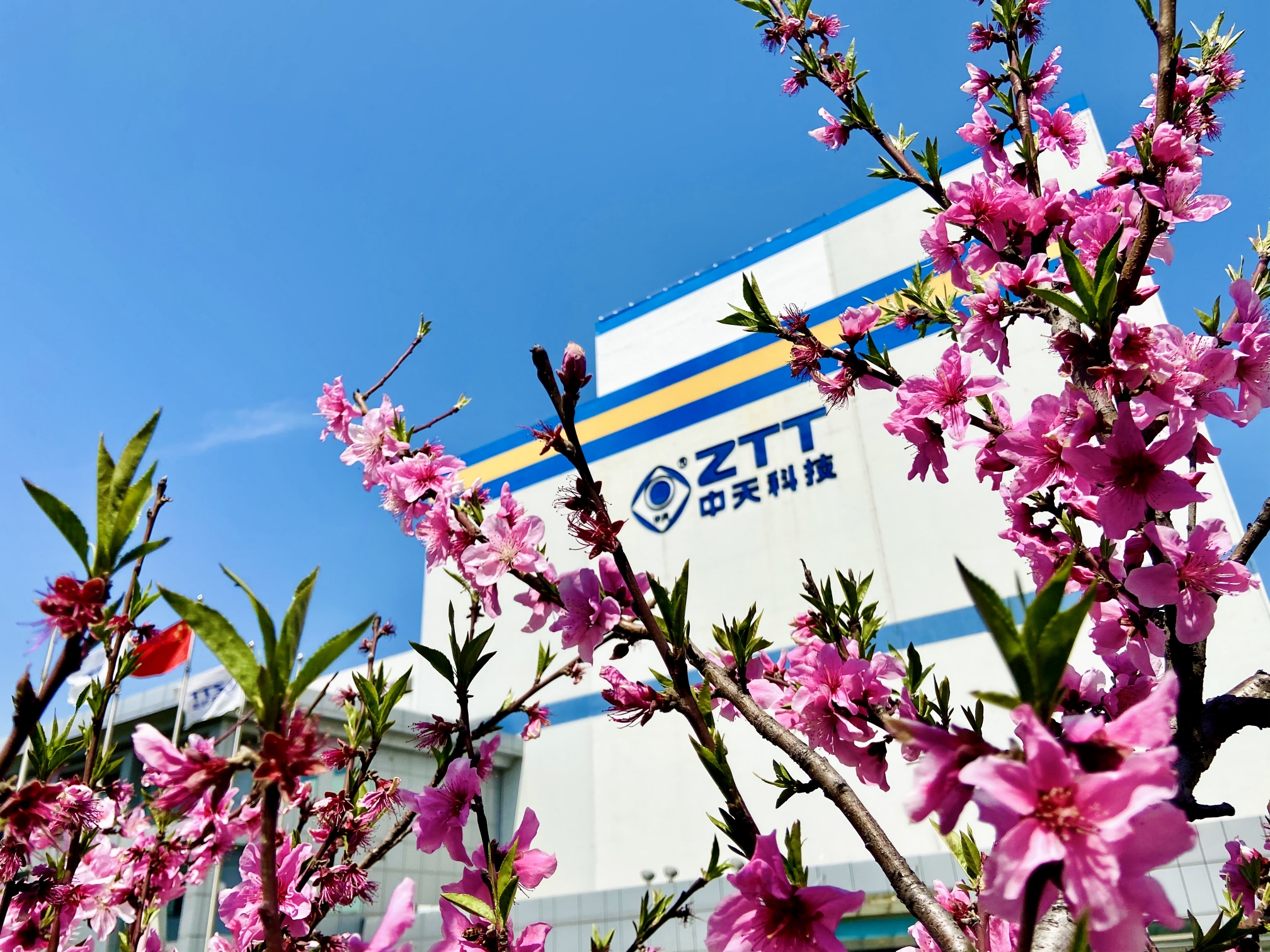 PG����(����)����IOS/��׿��/�ֻ���APP����