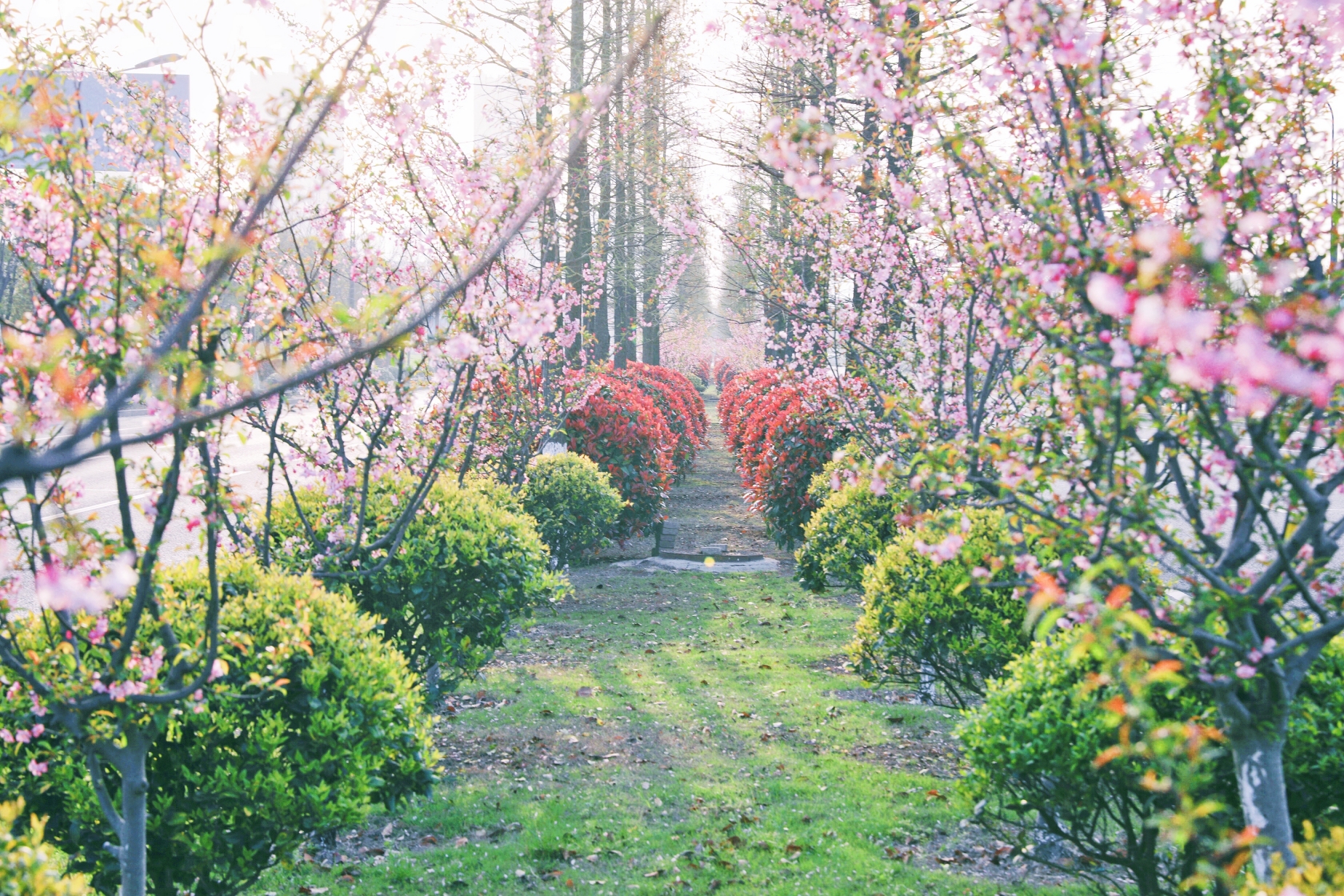 PG����(����)����IOS/��׿��/�ֻ���APP����