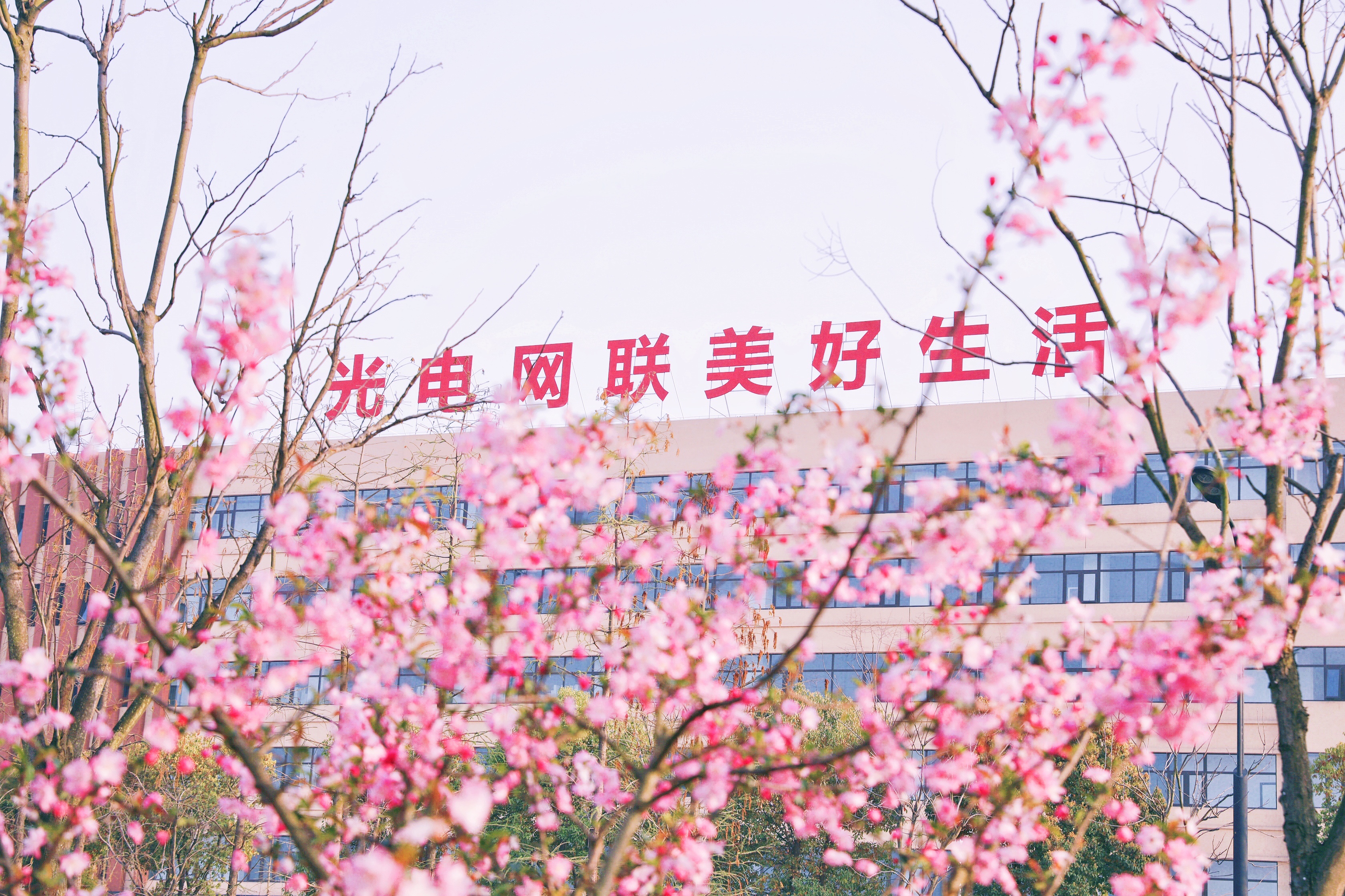 PG����(����)����IOS/��׿��/�ֻ���APP����