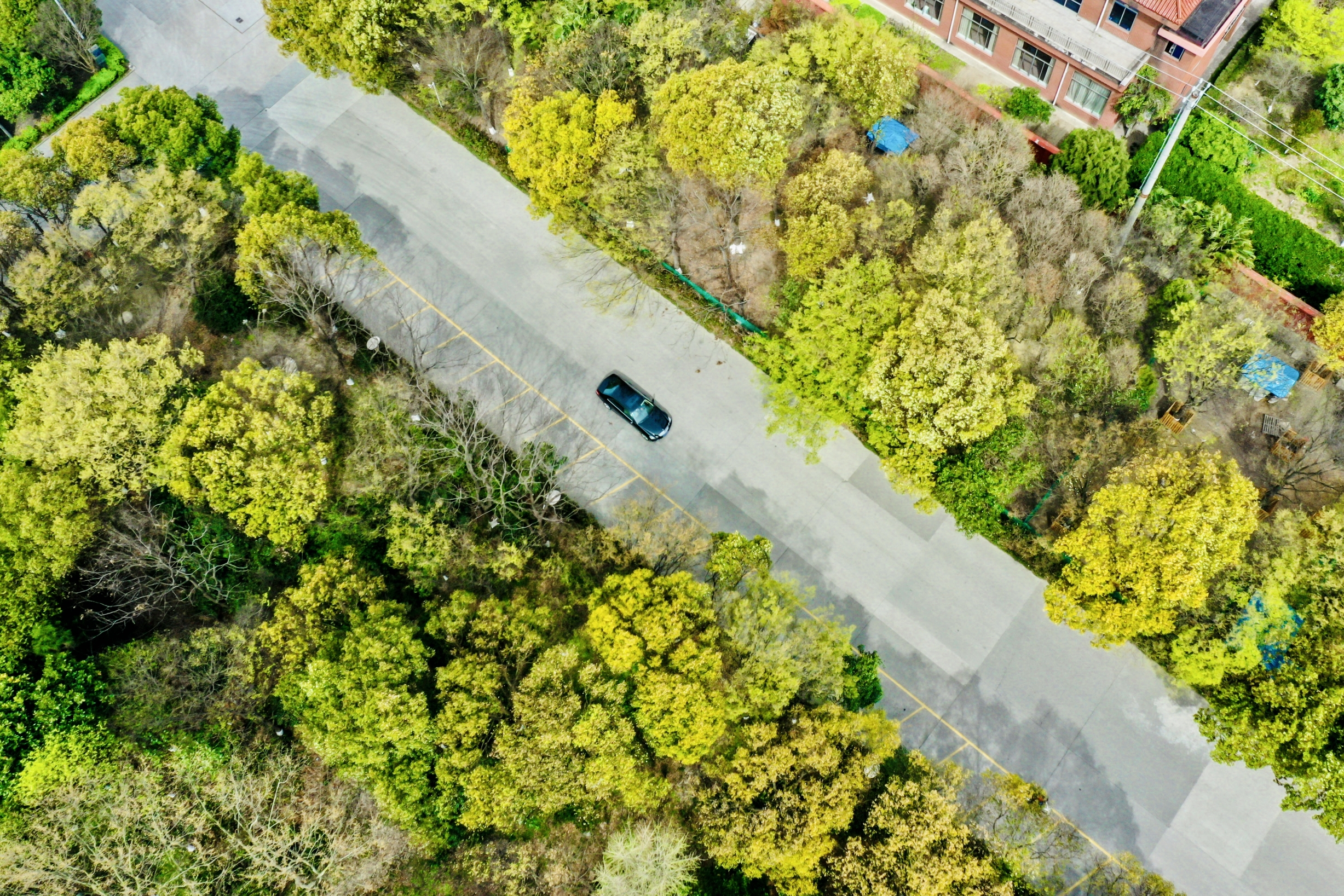 PG����(����)����IOS/��׿��/�ֻ���APP����