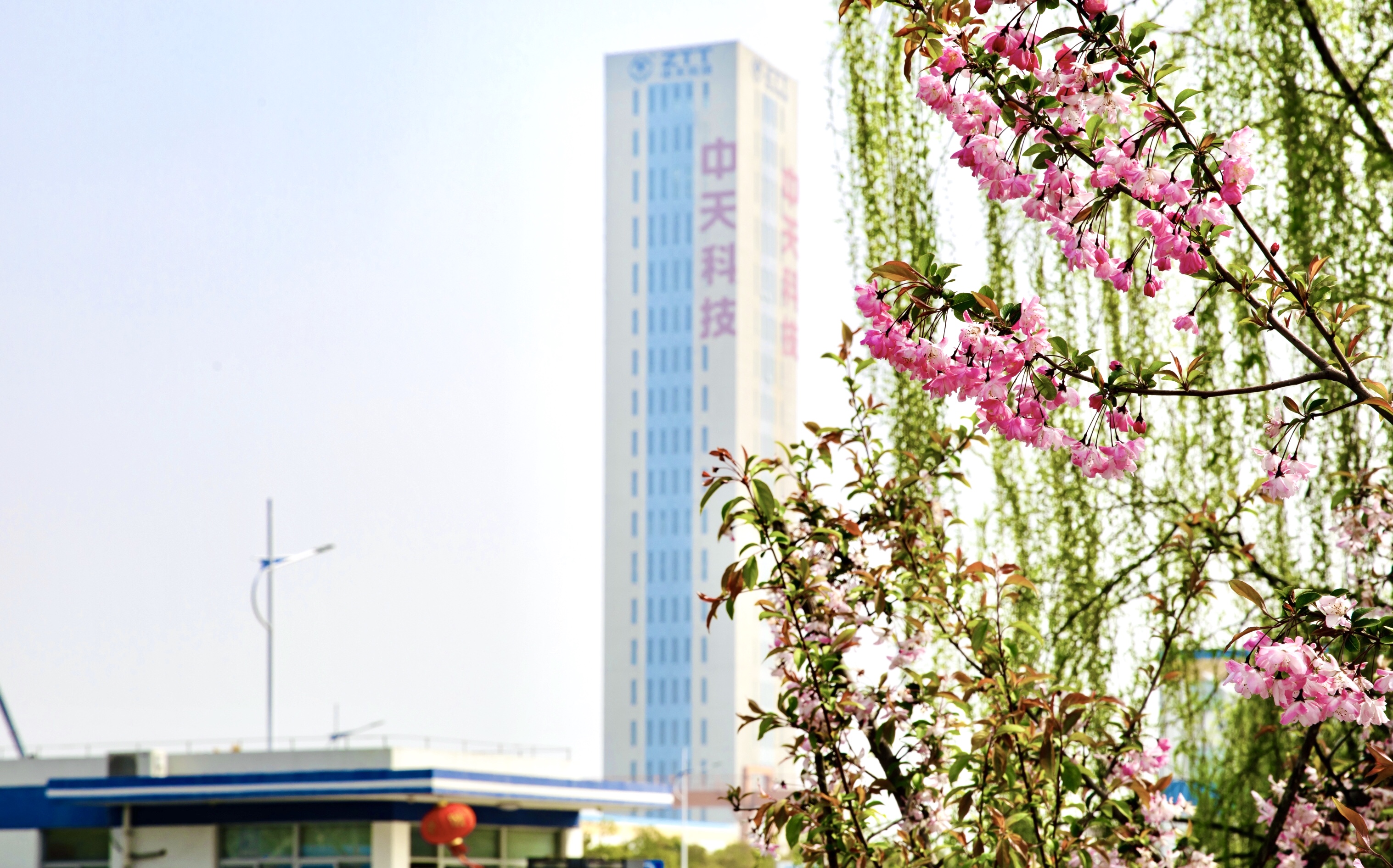 PG����(����)����IOS/��׿��/�ֻ���APP����