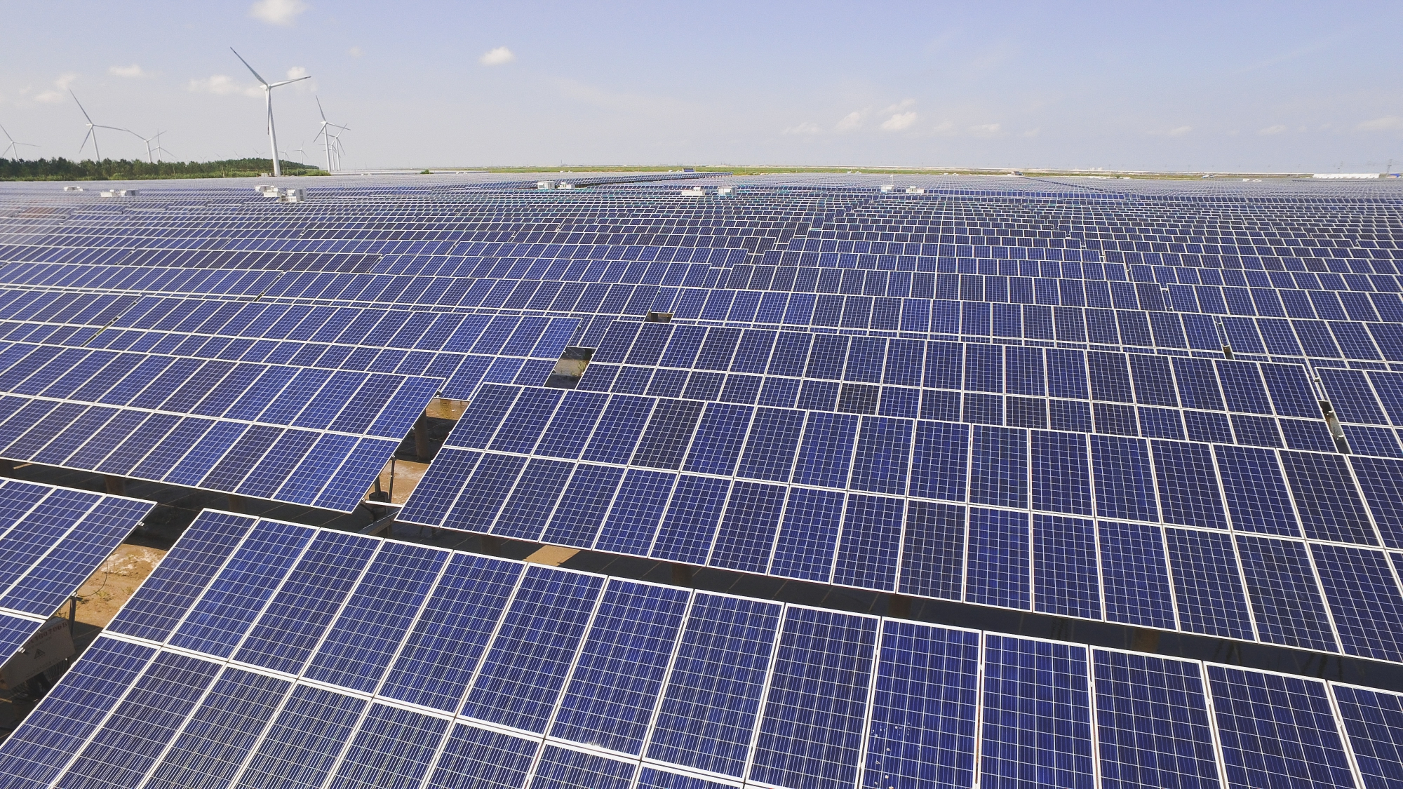 PG����(����)����IOS/��׿��/�ֻ���APP����