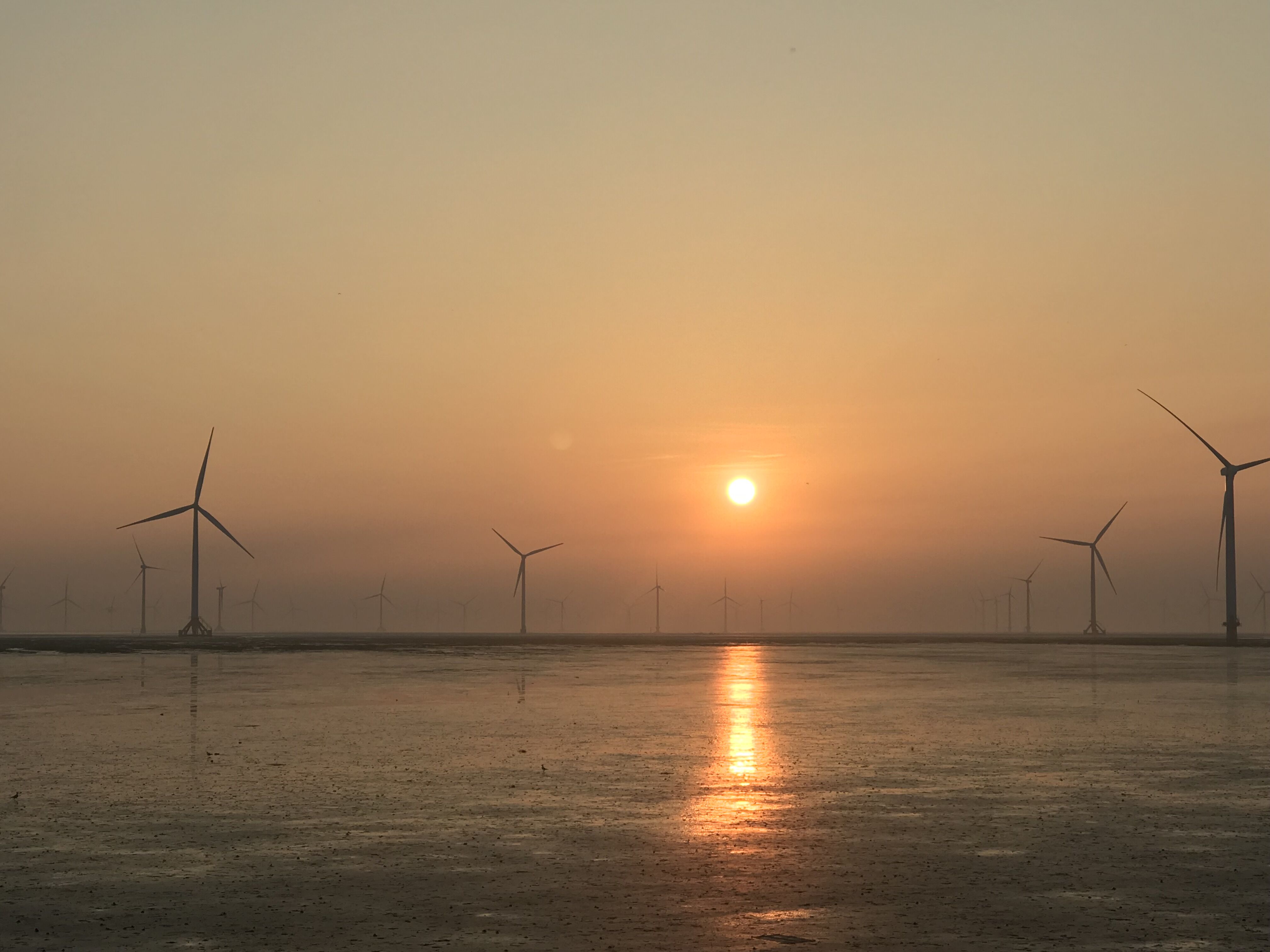 PG����(����)����IOS/��׿��/�ֻ���APP����