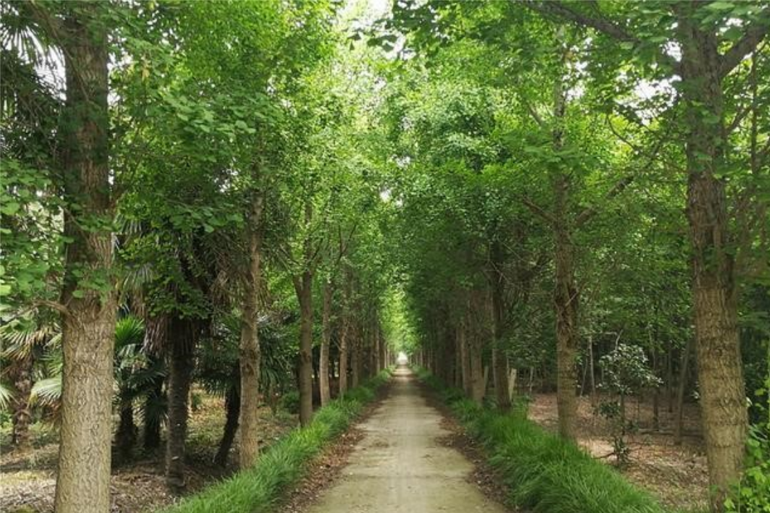 PG����(����)����IOS/��׿��/�ֻ���APP����